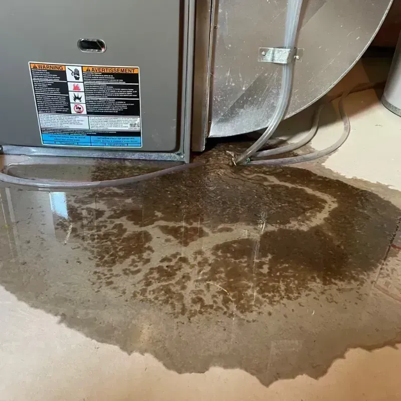 Appliance Leak Cleanup in West Ridge, IL